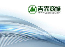 中國(guó)吉林森工集團(tuán)網(wǎng)絡(luò)信息技術(shù)開(kāi)發(fā)的戰(zhàn)略路徑與實(shí)踐探索